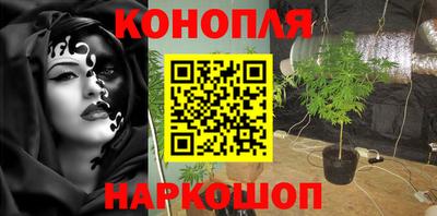 МДПВ Канаш