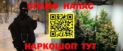 МДПВ Канаш