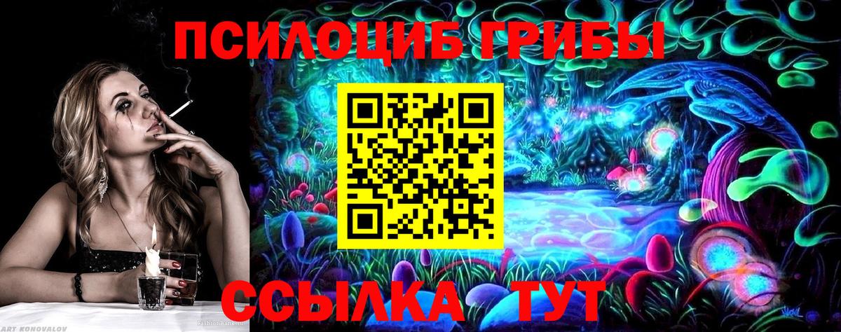 Галлюциногенные грибы Cubensis  Вход с VPN  Энгельс 